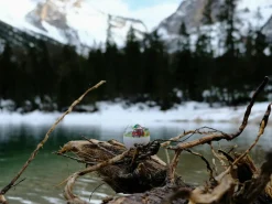 Küchenzubehör>Brainstream Camping PiepEi weiß