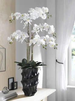 casa NOVA Orchidee 110cm schwarzweiß^ Pflanzen