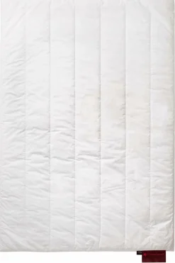 CENTA-STAR Ganzjahresbett 440g weiß^ Bettdecken