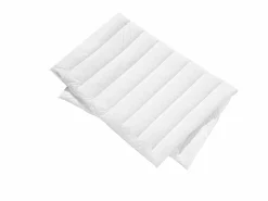 Bettdecken>CENTA-STAR Ganzjahresbett 900g weiß