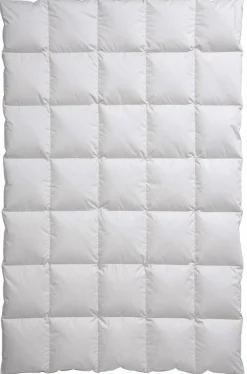 Bettdecken>CENTA-STAR Kassettenbett 910g beige