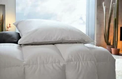 Bettdecken>CENTA-STAR Kassettenbett 910g beige