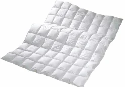 CENTA-STAR Sommerbett 220g weiß^ Bettdecken