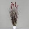 Pflanzen>DPI Gras m. Fruchtstand 95cm grün