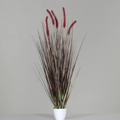 Pflanzen>DPI Gras m. Fruchtstand 95cm grün