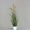 Pflanzen>DPI Gras m. Fruchtstand 75cm grün