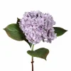 Pflanzen>DPI Hortensie violett