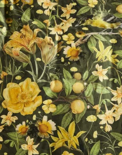 Satin><noscript><img width=