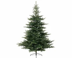 EVERLANDS Tannenbaum 180cm grün^ Dekoration