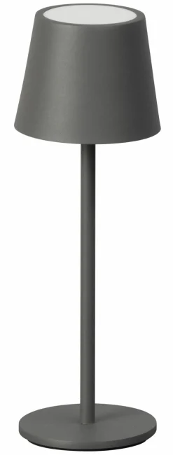Tischleuchten>FH Lighting LED-Akku-Tischleuchte 1flg grau