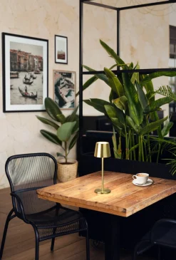 FH Lighting LED-Akku-Tischleuchte 1flg goldfarben^ Tischleuchten