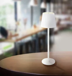 Globo LED - Akku - Tischleuchte 1flg mehrfarbigweiß^ Tischleuchten