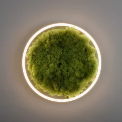 JUST LIGHT LED-Deckenleuchte 1flg grün^ Deckenleuchten