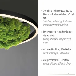 Deckenleuchten><noscript><img width=