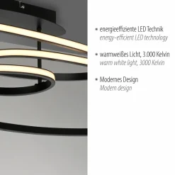 Deckenleuchten>JUST LIGHT LED-Deckenleuchte 1flg schwarz