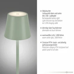 Stehleuchten>JUST LIGHT LED-Stehleuchte 1flg grün