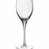 Leonardo Likörglas transparent^ Schnapsgläser