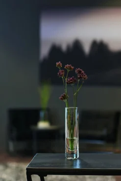 Dekoration>Leonardo Solifleurvase 16,4cm transparent