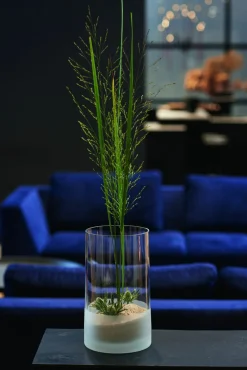 Leonardo Vase 26cm transparent^ Dekoration