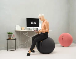 Magma Sitzball grau^ Bürostühle·Sitzbälle|Textilzubehör