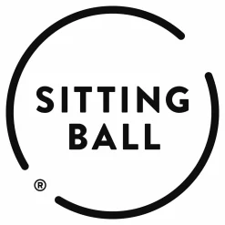 Bürostühle·Sitzbälle|Textilzubehör>Magma Sitzball grau