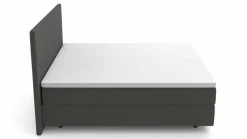 Boxspringbetten|Betten>MONDO Boxspringbett grau