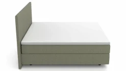 MONDO Boxspringbett grün^ Boxspringbetten|Betten