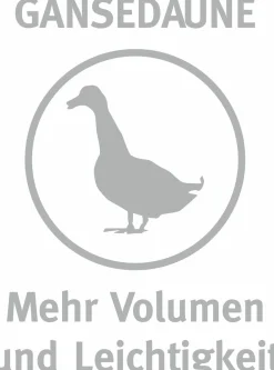 Kopfkissen><noscript><img width=