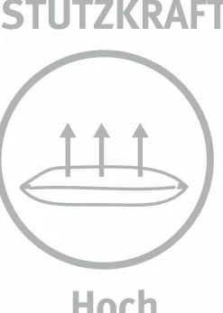 Paradies Drei-Kammerkissen 870g weiß^ Kopfkissen