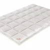 Bettdecken>Paradies Ganzjahresbettdecke 630g weiß weiß