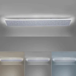 Paul Neuhaus LED-Deckenleuchte 1flg silberfarben^ Deckenleuchten