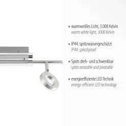Paul Neuhaus LED-Deckenleuchte 2 flg silberfarben^ Deckenleuchten|Spots
