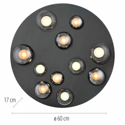 Deckenleuchten>Paul Neuhaus LED-Deckenleuchte 11flg grau