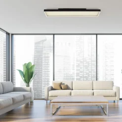 Paul Neuhaus LED-Deckenleuchte 1flg schwarz^ Deckenleuchten