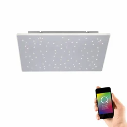 Paul Neuhaus LED-Deckenleuchte 1flg silberfarben^ Deckenleuchten