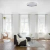 Deckenleuchten>Paul Neuhaus LED-Deckenleuchte 1flg silberfarben