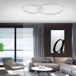 Paul Neuhaus LED-Deckenleuchte 2flg silberfarben^ Deckenleuchten