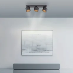 Paul Neuhaus LED-Deckenleuchte 3flg schwarz^ Deckenleuchten