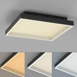 Paul Neuhaus LED-Deckenleuchte 1flg schwarz^ Deckenleuchten
