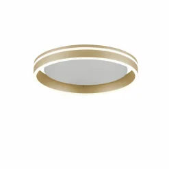 Paul Neuhaus LED-Deckenleuchte 1flg goldfarben^ Deckenleuchten