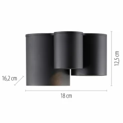 Paul Neuhaus LED-Deckenleuchte 3flg schwarz^ Deckenleuchten