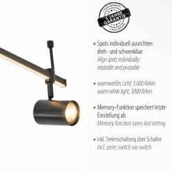 Deckenleuchten>Paul Neuhaus LED-Deckenleuchte 4flg schwarz