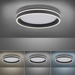 Paul Neuhaus LED-Deckenleuchte 1flg schwarz^ Deckenleuchten|Pendelleuchten