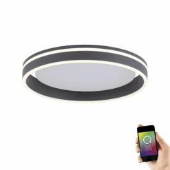 Paul Neuhaus LED-Deckenleuchte 1flg schwarz^ Deckenleuchten|Pendelleuchten
