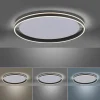 Deckenleuchten>Paul Neuhaus LED-Deckenleuchte 1flg schwarz