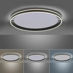 Deckenleuchten>Paul Neuhaus LED-Deckenleuchte 1flg schwarz