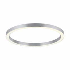 Paul Neuhaus LED-Deckenleuchte 1flg silberfarben^ Deckenleuchten
