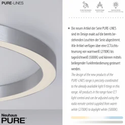 Paul Neuhaus LED-Deckenleuchte 1flg silberfarben^ Deckenleuchten