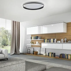 Paul Neuhaus LED-Deckenleuchte 1flg schwarz^ Deckenleuchten|Pendelleuchten