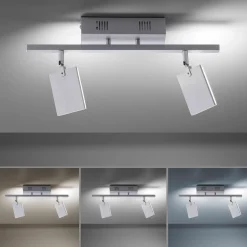Paul Neuhaus LED-Deckenleuchte 2flg silberfarben^ Deckenleuchten